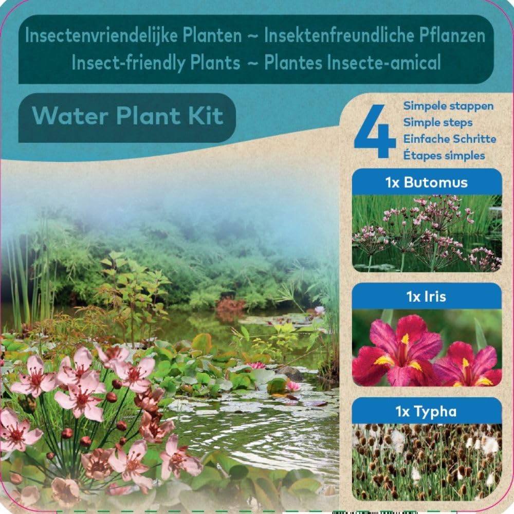 Dry Mixed Basket Insects + Plastic Pot Black + Gold 46cm - Includes 3 Wildlife-Friendly Pond Plants, Basket, Soil & Gravel for Dragonflies & Insects to Thrive, 1 x 1 Pond Kit by Thompson and Morgan