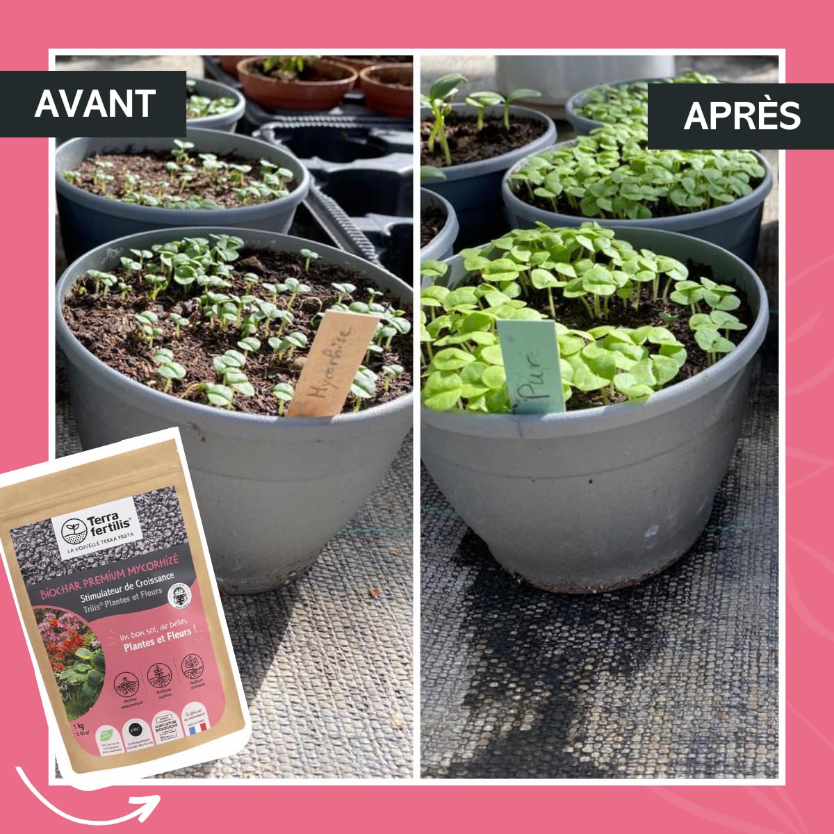 Terra Fertilis - Fertilisant Plantes spécial Plantes et Fleurs - à base de Biochar Mycorhizé - Stimule la floraison - Permet de réduire les arrosages et l'utilisation d'engrais (1kg)