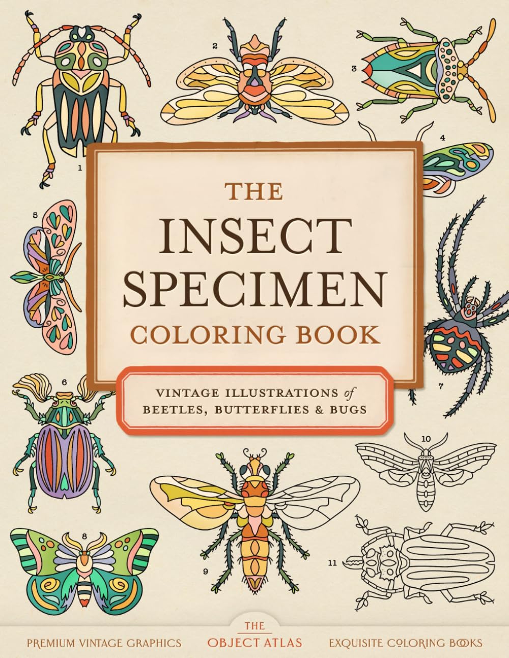 The Insect Specimen Coloring Book: Vintage Illustrations of Beetles, Butterflies, and Bugs (Vintage Coloring Books)
