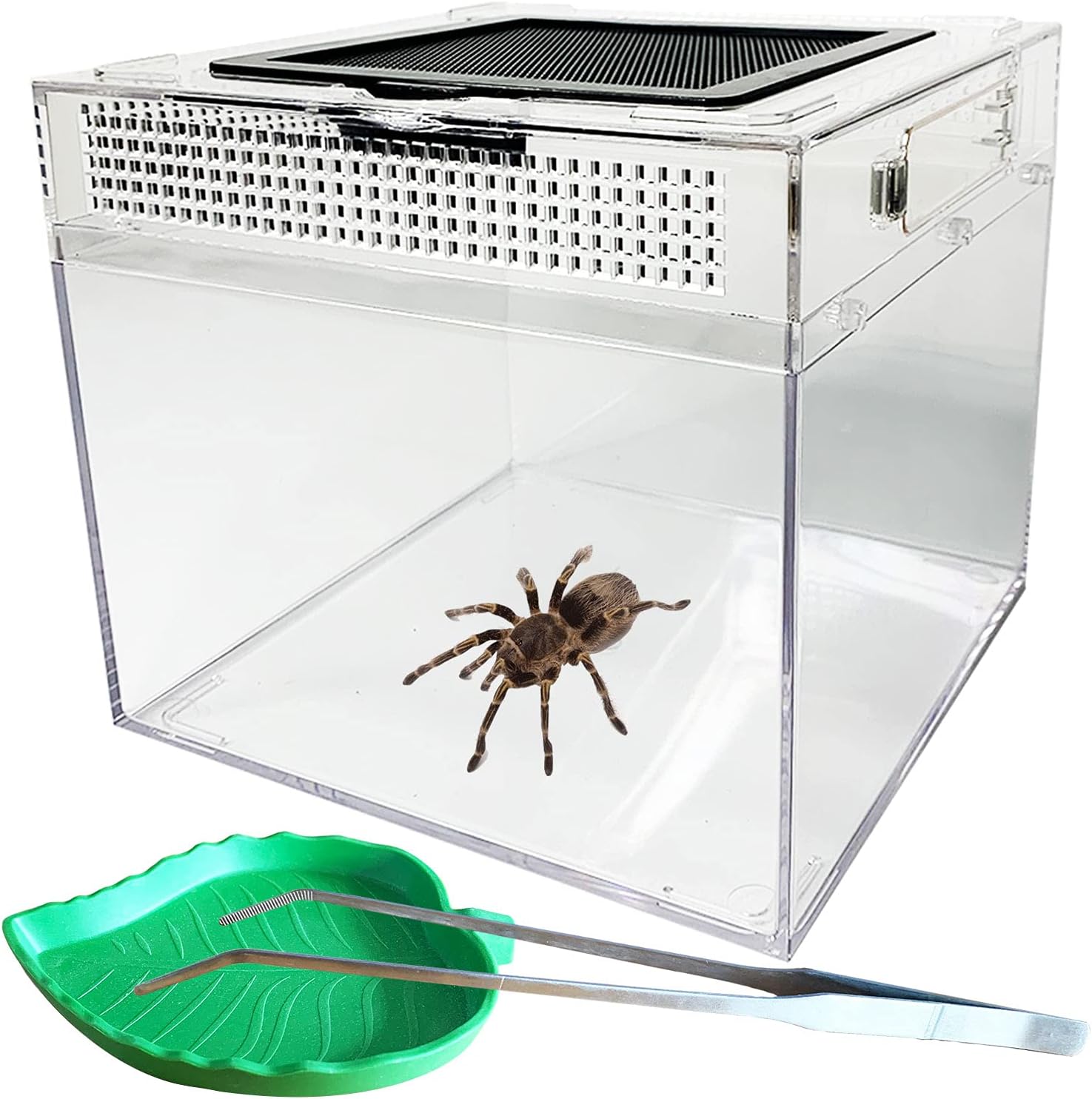 kathson Reptile Feeding Box Lizard Tank Enclosure Hermit Crab Habitat Reptile Terrarium with Tweezer Bowl for Frog Spider Gecko…