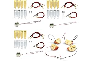 3 Sets Fruit Battery Science Experiment Kit for Home Teaching Toy