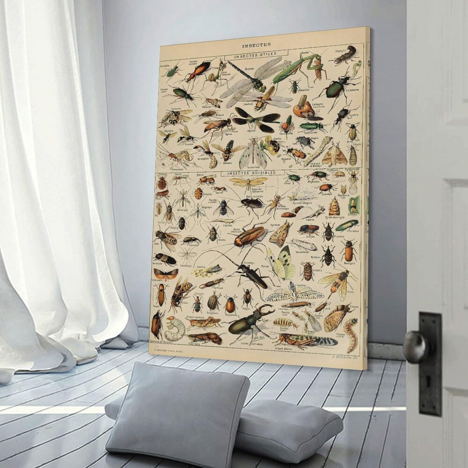 Junmoney Frame-Style-7-1 Adolphe Millot Insect Decorative Canvas Print, 20X30inch(50X75cm), For Gallery Wall Decor And Room Displays, Wall Decor Suited To Curated Displays