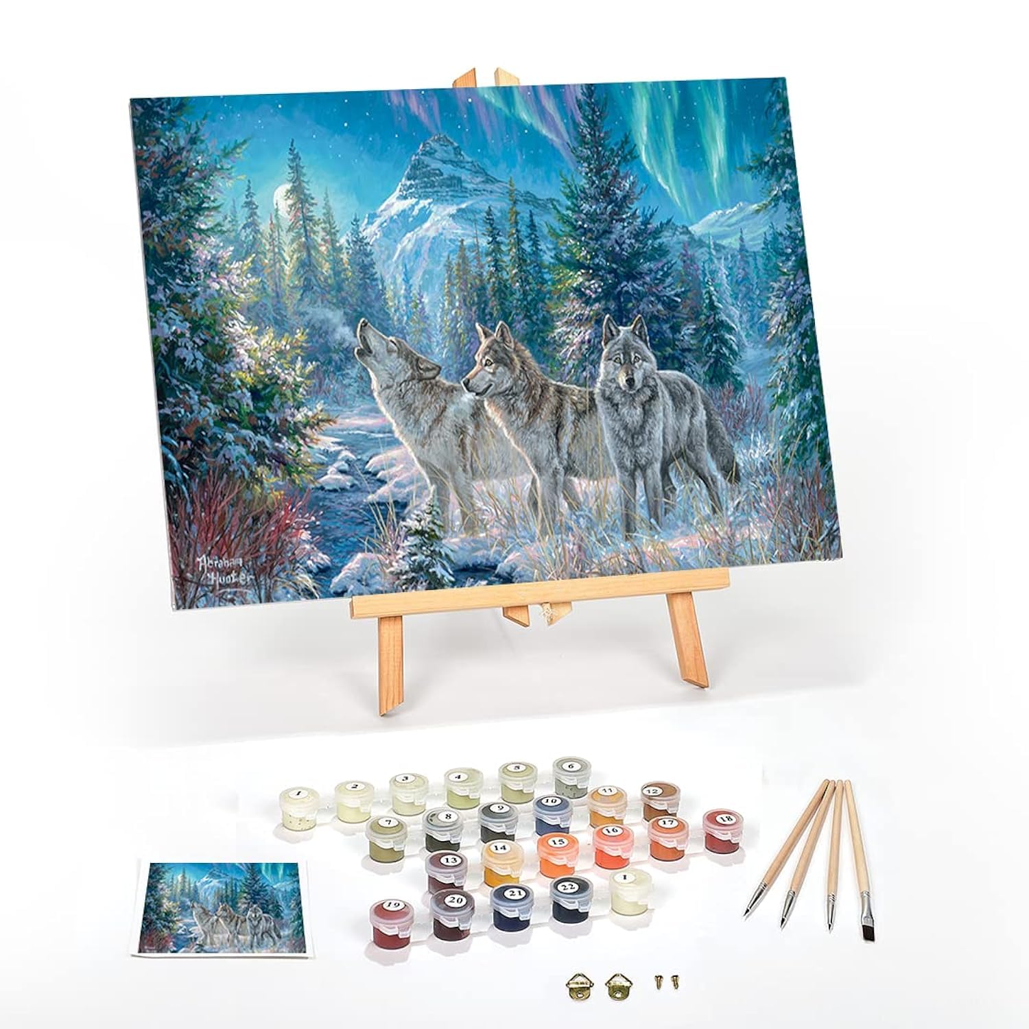Amazon.com: Ledgebay DIY Paint by Numbers Kit for Adults Framed Canvas ...