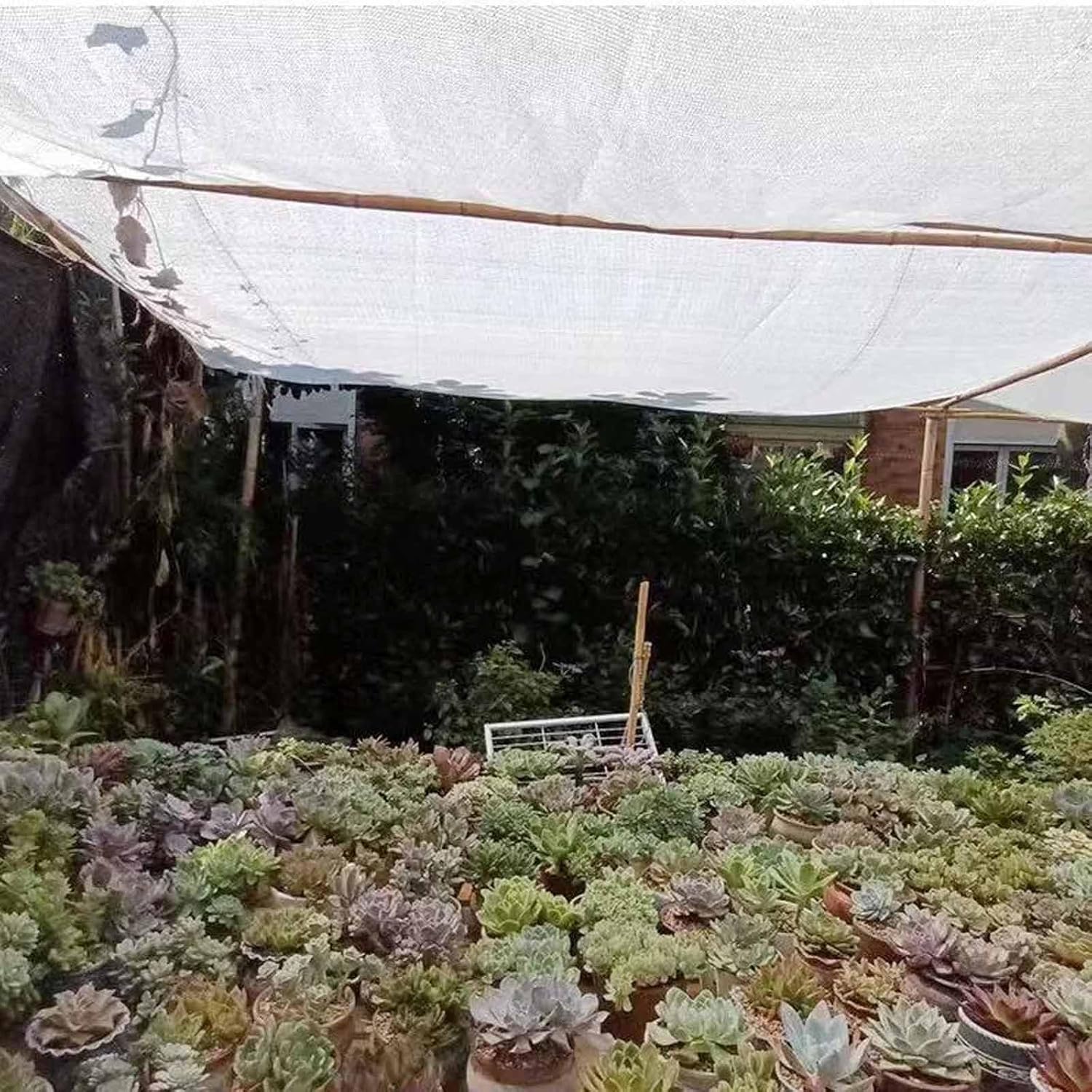 Premium Sunblock White Shade Cloth - 40% Shading Garden Shade Netting UV Resistant Breathable for Plants People Balconies Patios Roofs 3.3'x3.3' 3.3'x6.6' 3.3'x10' 6.6'x10' 10'x10'(2.0x4.0 m)