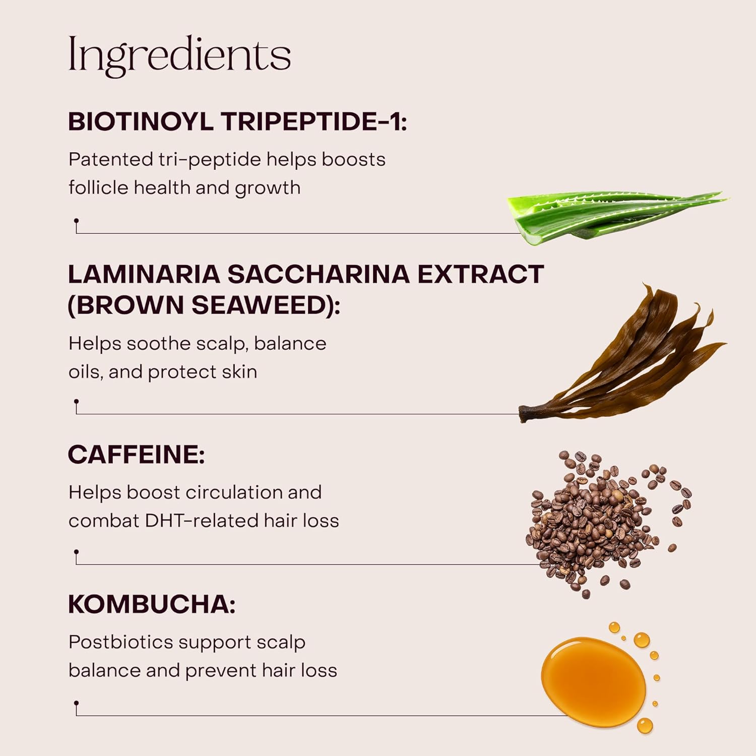 Everist EverBoost Multi-Peptide Scalp Serum – 60ml