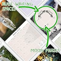 Vista 225 de Razas de Perros 2017