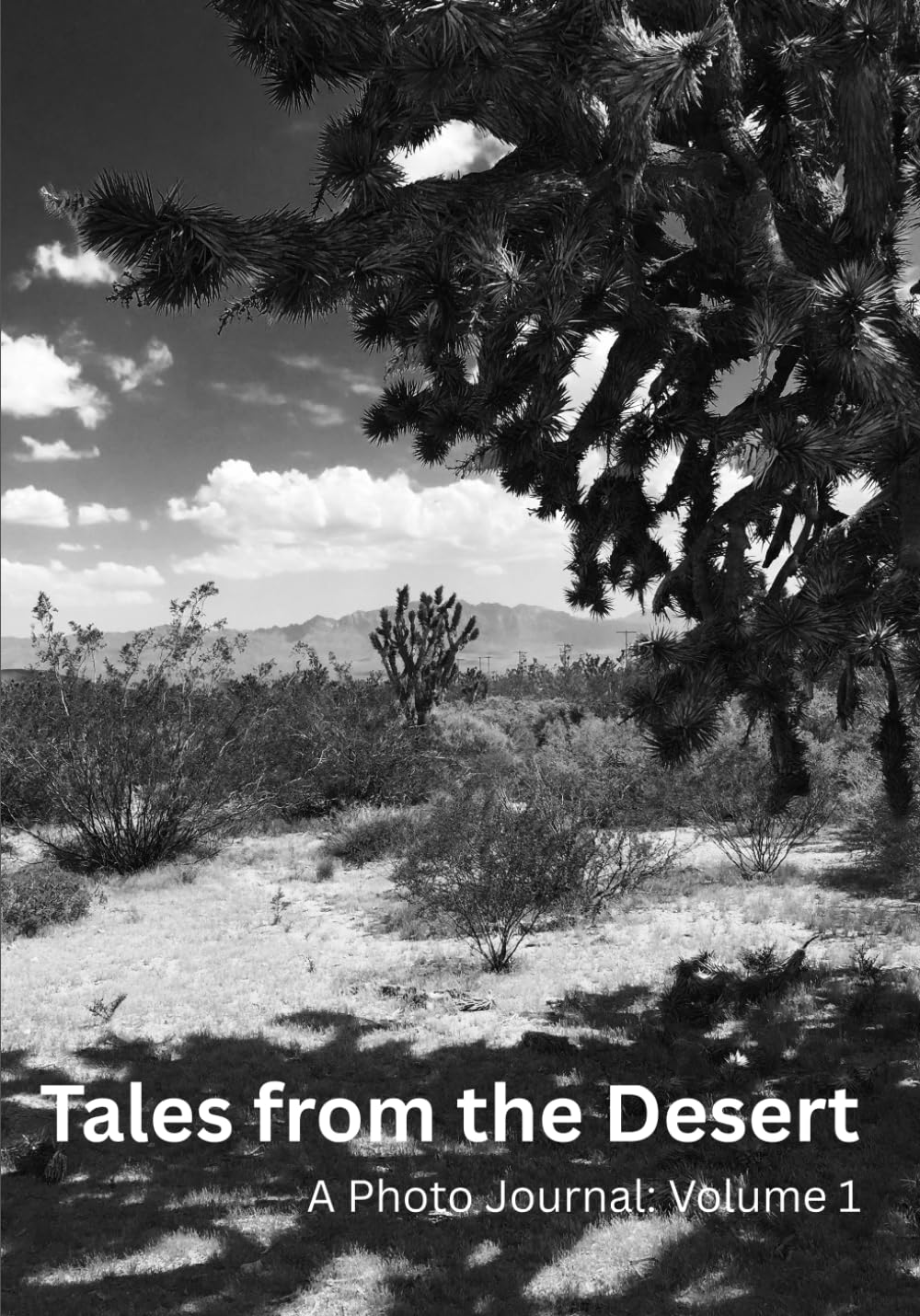 Tales from the Desert: A Photo Journal: Volume 1