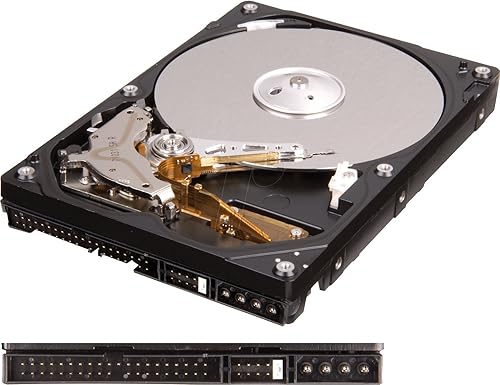 Miniatura 6 de WD Blue - Disco duro de escritorio de 320 GB 35 pulgadas 7200 RPM PATA caché de 8 MB - WD3200AAJB