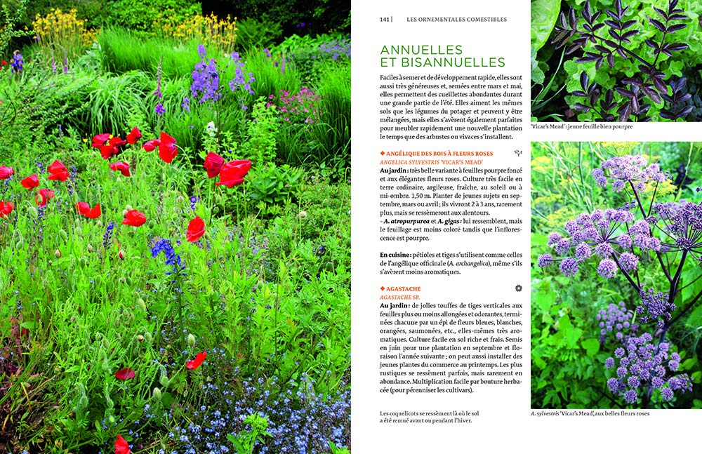 Toutes les plantes belles et comestibles