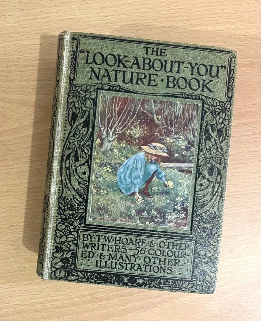 No.241 古書 洋書 児童書 植物·昆虫·動物·樹木·鳥·蝶·魚 図鑑 自然 希少！