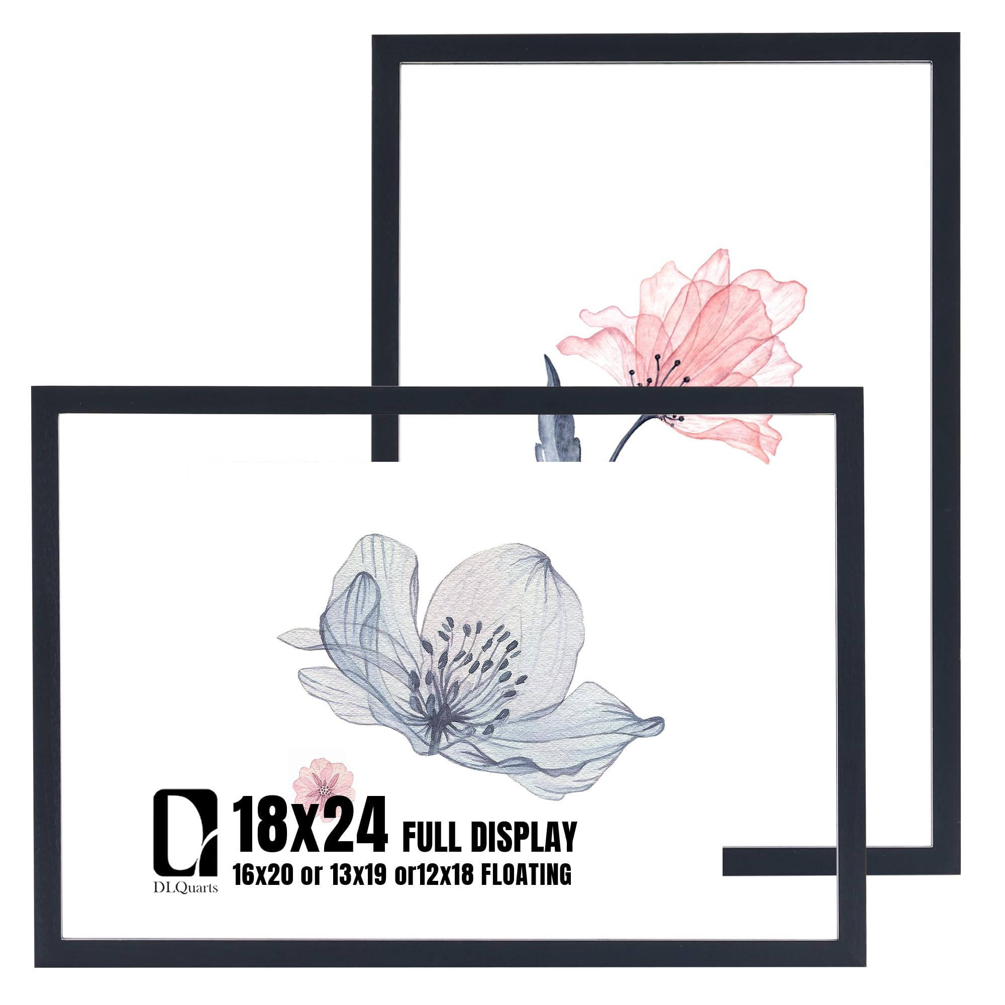 DLQuarts Floating Picture Frame Matte Black