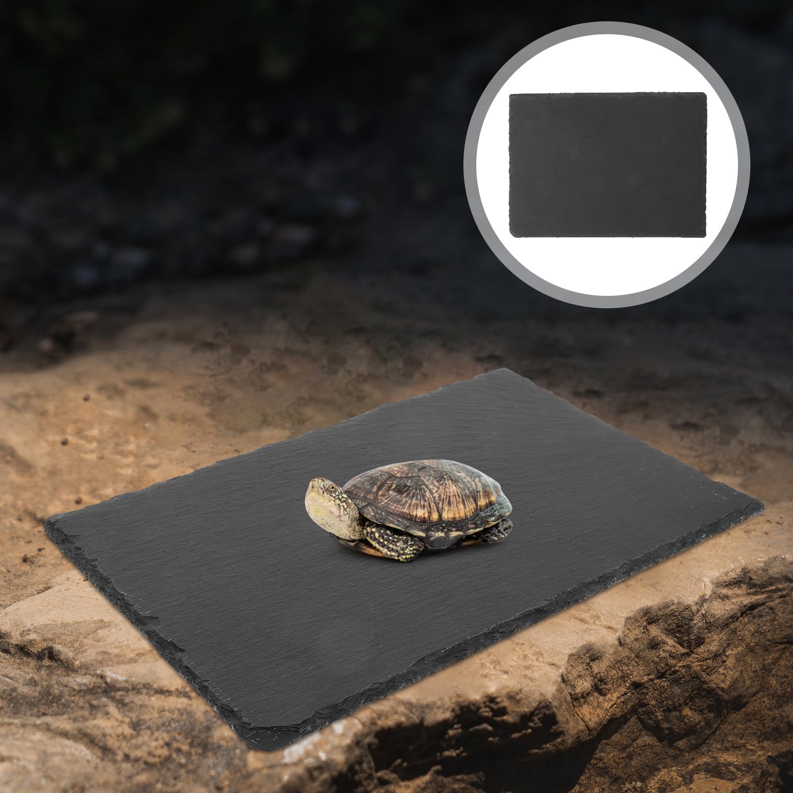 BESTonZON Sonnenplattform Schildkröte aus Naturstein 20x30cm Aquarium Reptilien Terrarium Zubehör
