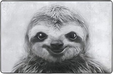 Amazon Co Jp かわいい笑顔のナマケモノ カーペット ラグ 1 1cm 洗える 滑り止め付 1年中使えるタイプ 床暖房 ふわっと手触り ホーム キッチン