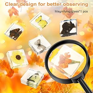 12 Pcs Insect in Resin Specimen Bugs Collection Paperweights, Resin Insects Specimen Frame Decoration for Tabletop Wall Art Decoration Scientific Educational Display Supplies (12 PCS Butterflies)