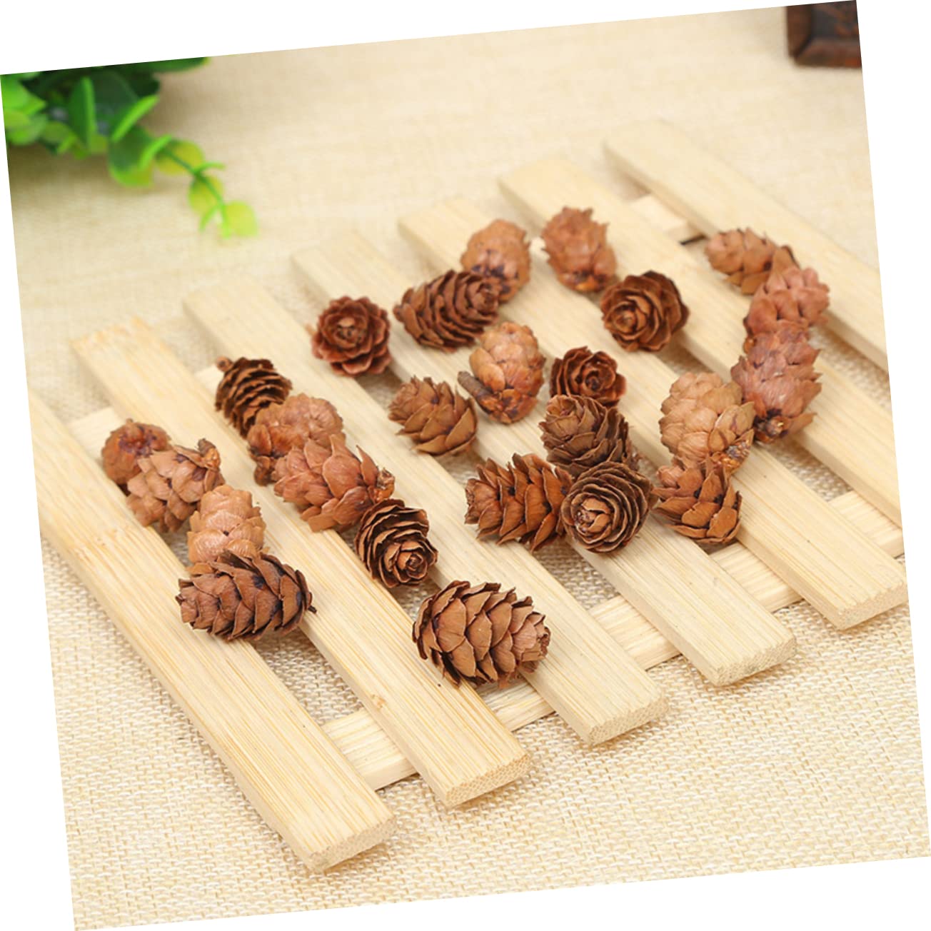 PRETYZOOM 210 Piezas Piñas de Decoraciones Naturales Hogar Piñas Secas para Acción de Gracias y Navidad