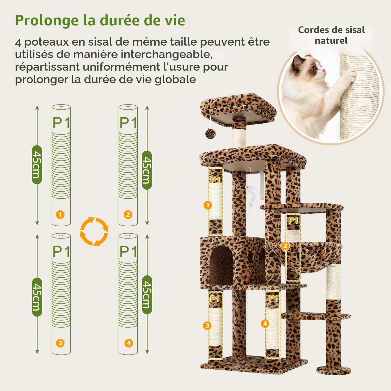 Globlazer F65B Solide Arbre a Chat avec Niche Plateforme pour 2 Grand Chats | Robuste Arbre à Chat Montage Facile avec Plusieurs Grand Repos Poteau à Griffer en Sisal pour Gros Chats Maine Coon Intérieur