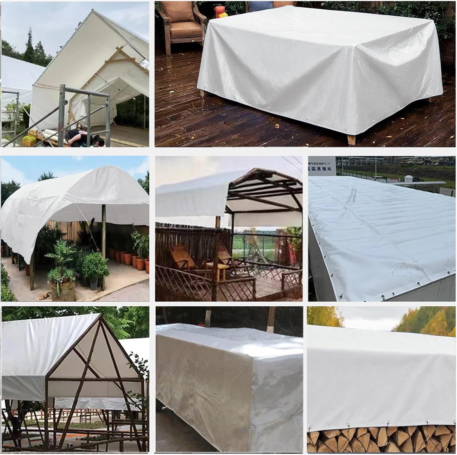 限定 TARPtoTARP tarp glass TTTC11 TARPtoTARP tarpグラス TTTC11 ver - メルカリ