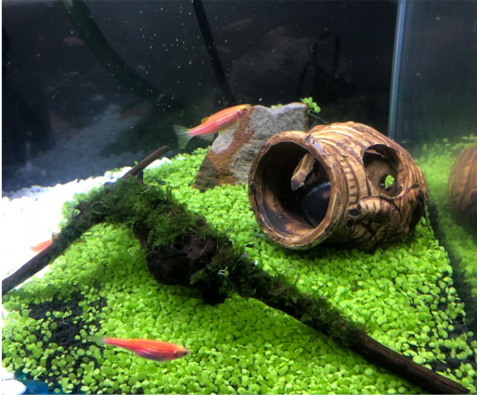 Decorazioni Acquario Arredamento Acquario Arredi Per Acquario Decorazioni Per Vasi Di Argilla Per Acquario Decorazioni Paesaggistiche A Forma Speciale Acquario Ornamentale Gamberetti Ciclidi Nascondig