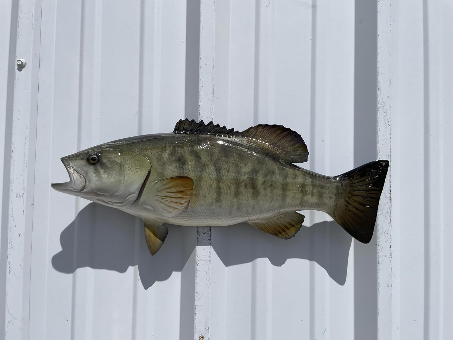 20" Smallmouth Bass Half Mount Fish Replica – Green – Fiberglass Wall Decor for Indoor or Outdoor Display