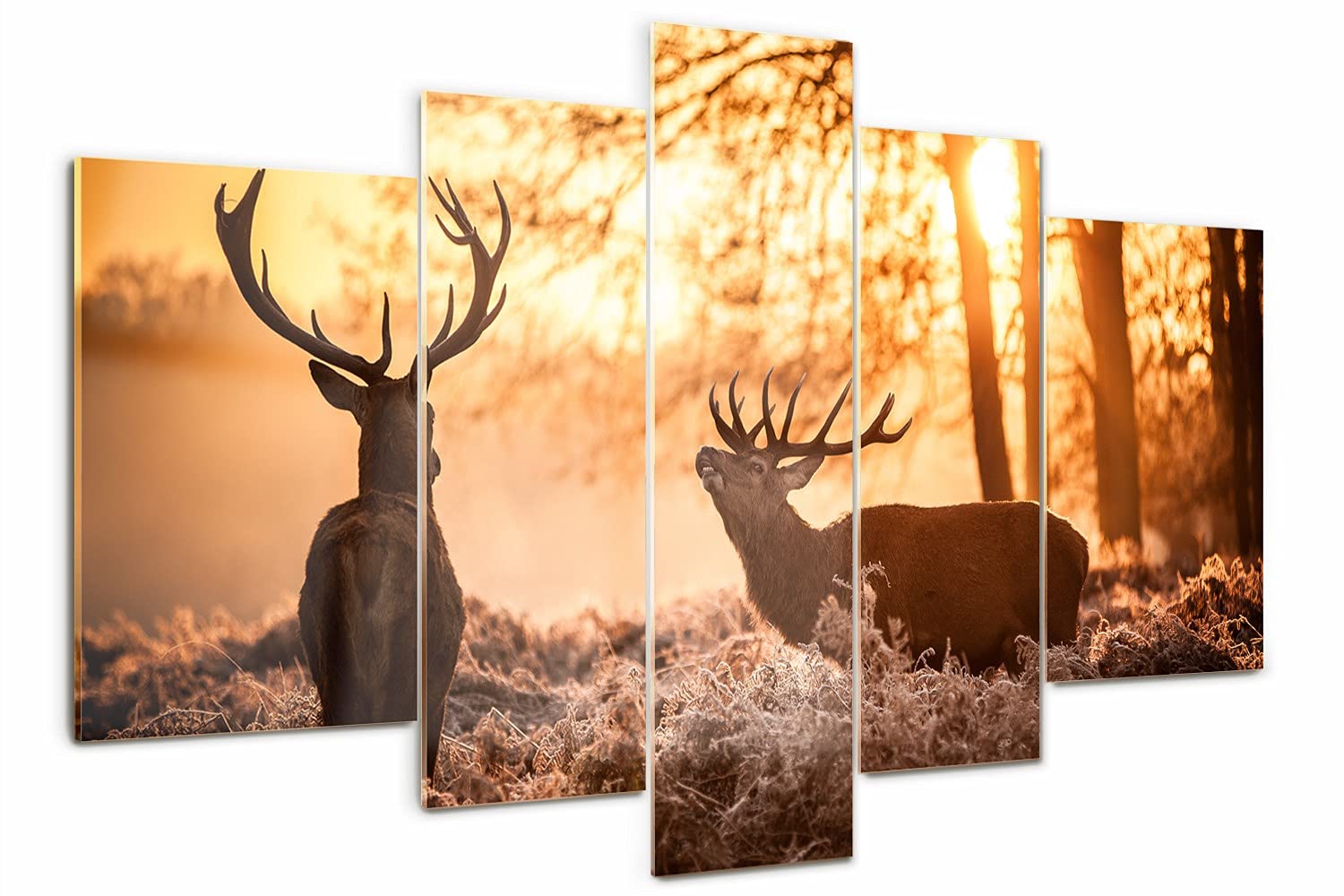Tableau sur Verre 5 pièces Tulup 170x100cm motif cerf pour décoration murale