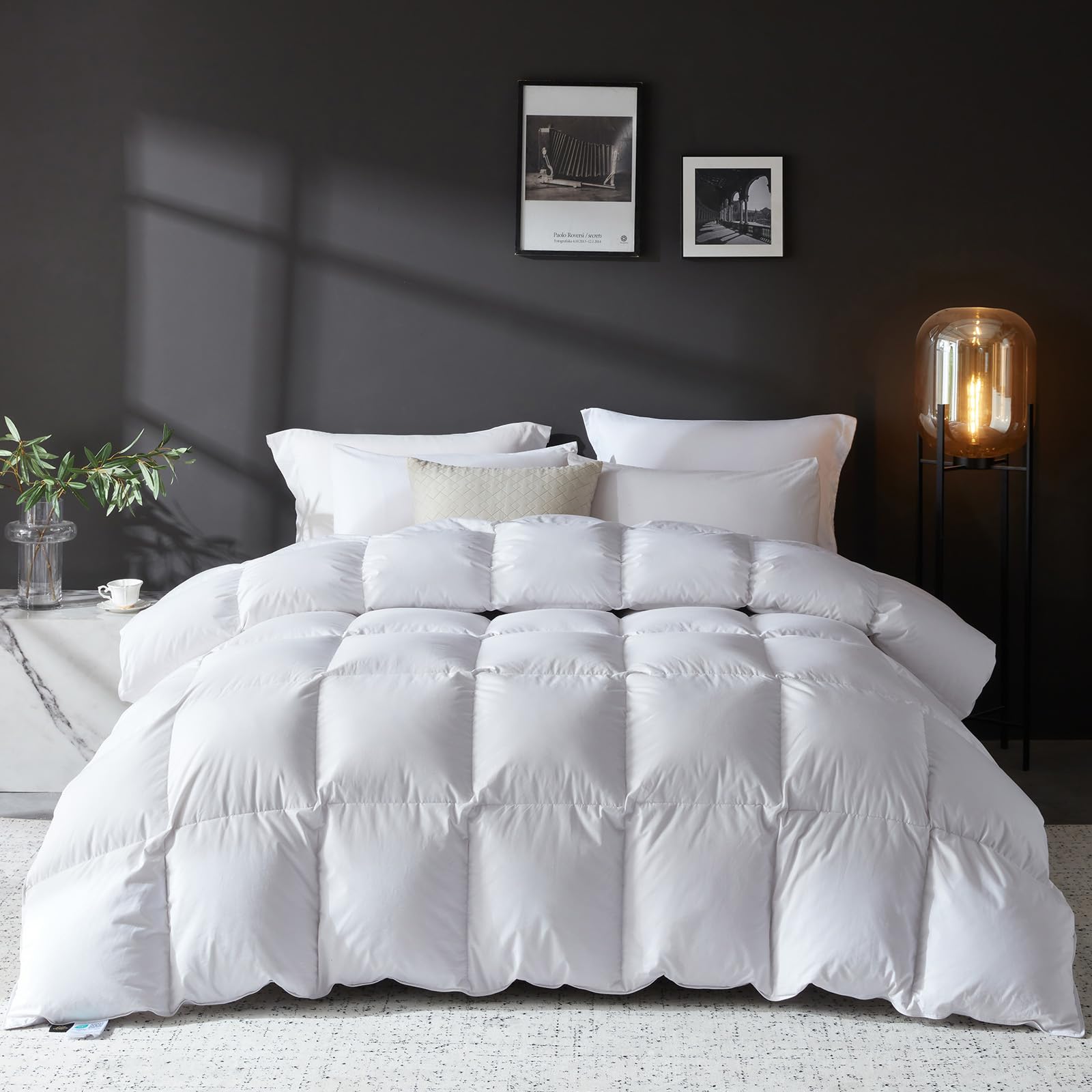 Goose Down Comforter 100% Egyptian Cotton 750+ Fill Power Insert King Comforter 1200 Thread Count Baffle Box Stitched Down Proof Duvet Comforter with Corner Tabs for All Seasons, White 106x90Inches-image-22