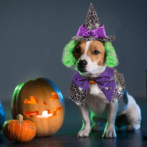 Miniatura 2 de ADOGGYGO Disfraz de Halloween para perro, color morado, disfraz de bruja para Halloween, con capa de gato, disfraz de sombrero de bruja para perros