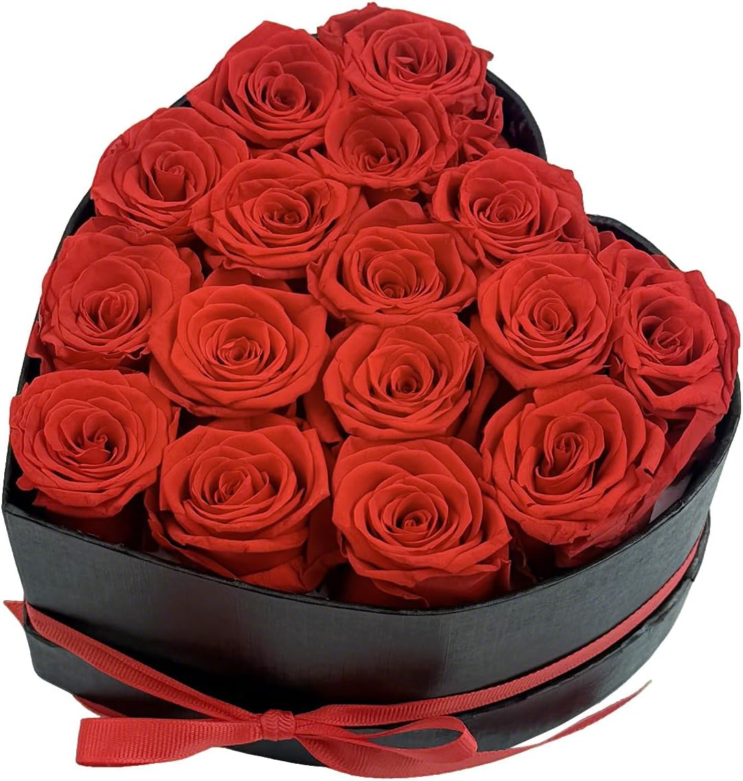 Preserved Roses Heart Shape Box Valentines Day Gifts for Her Mothers Day Forever Flowers (Red, 16 Roses)