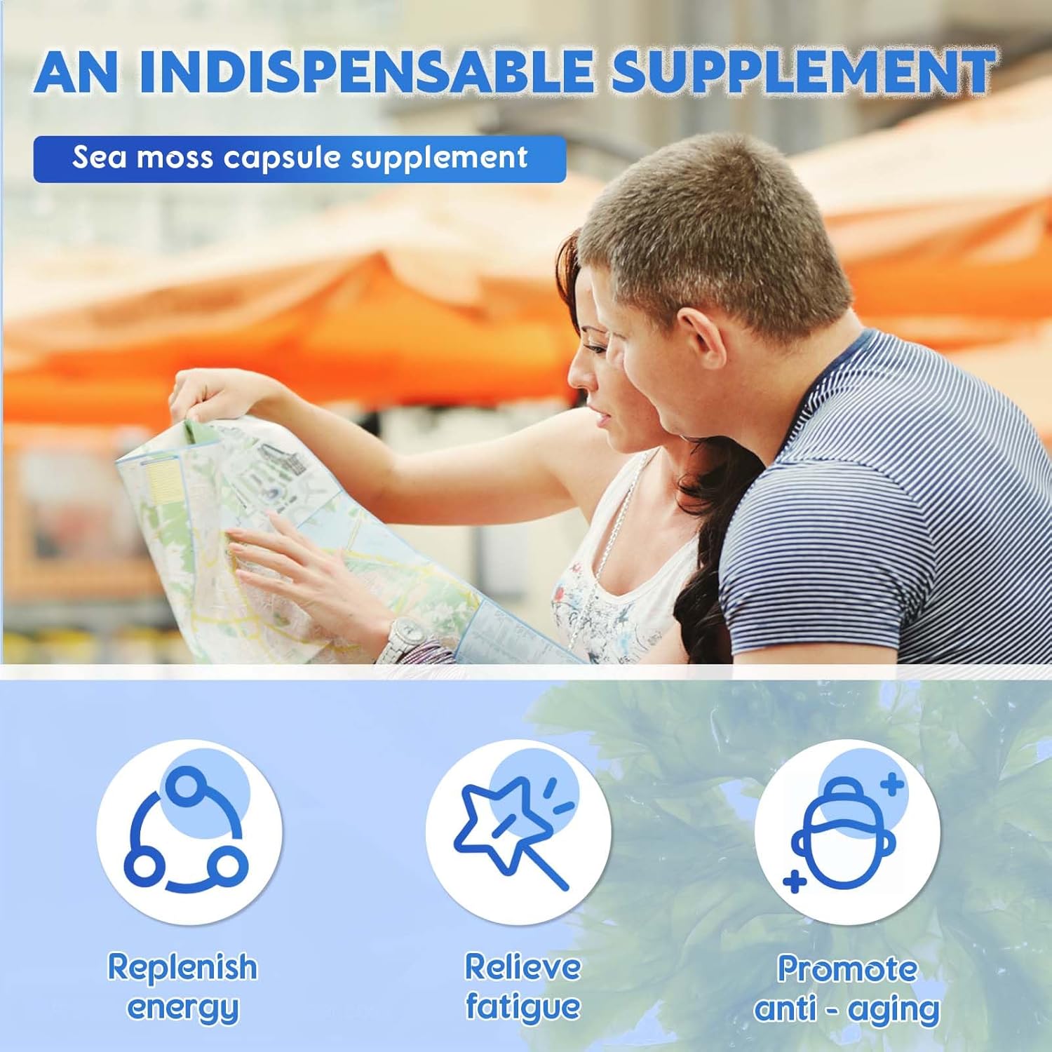 25-in-1 Sea Moss Black Seed Oil Ashwagandha Ginger Shilajit Supplement, with Burdock Root, Rhodiola Rosea, Vitamins C & D3, Shilajit Capsules for Men & Women - Boosts Energy, Skin, Joints & Immunity - Image 4