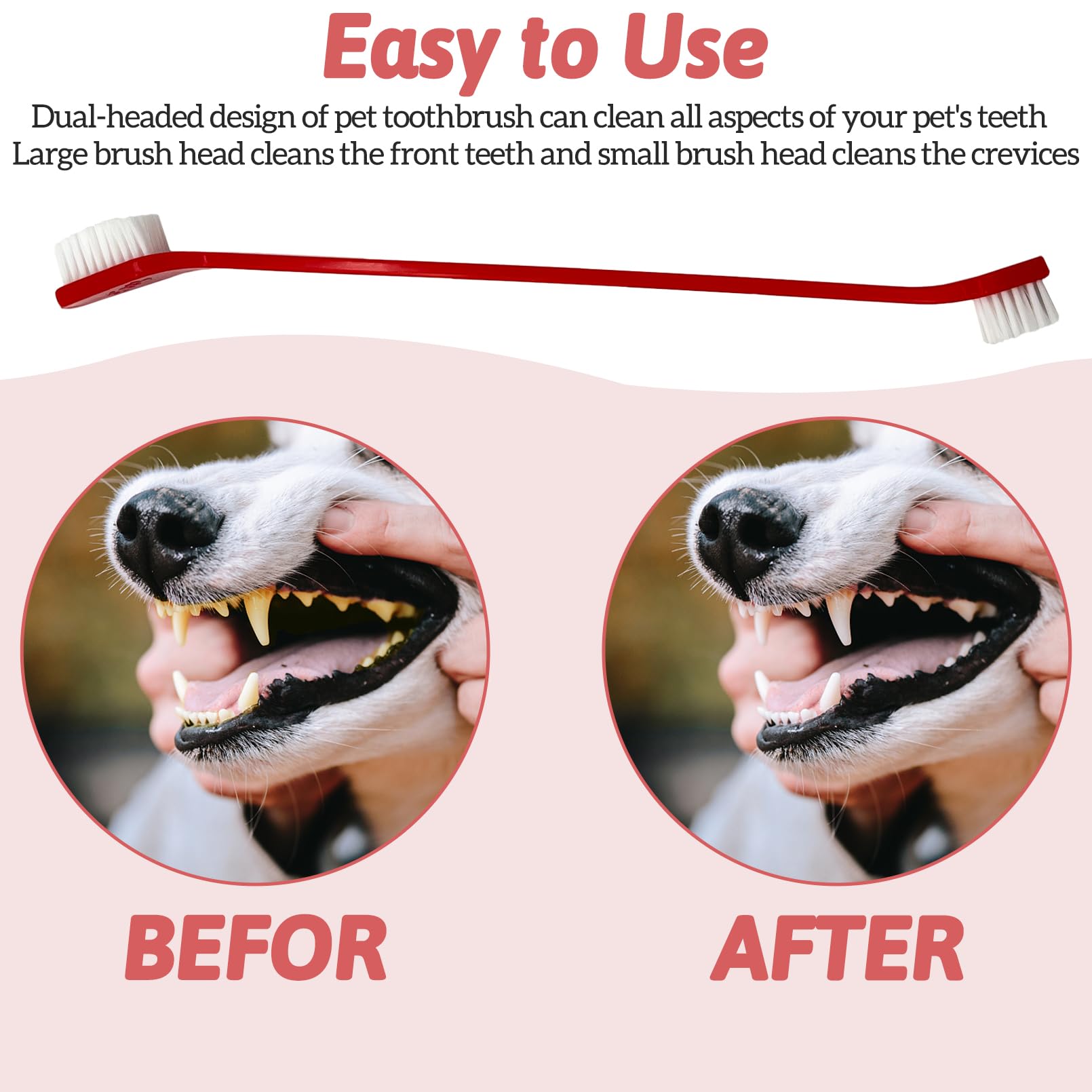 Lot de 150 brosses à dents à double tête pour chien - Brosse à dents à long manche doux - Brosses dentaires pratiques double face pour animaux domestiques - Brosse de nettoyage des dents