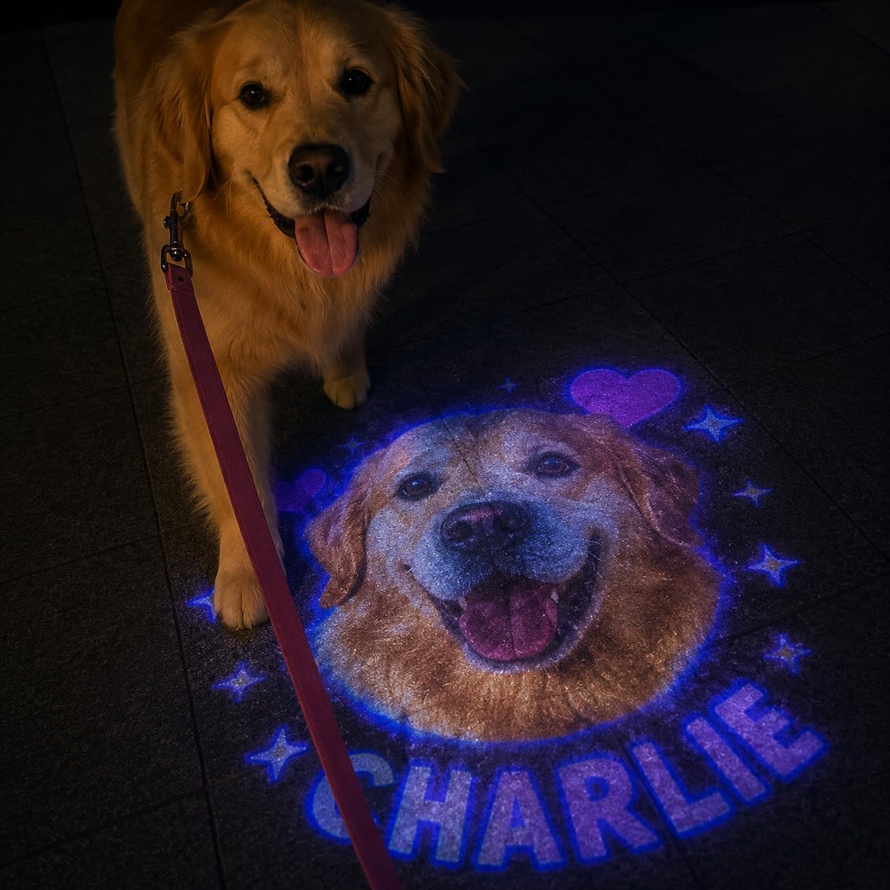 Personalised Pet Projection Light for Dog Collar with Photo Name LED Tag