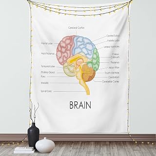 Ambesonne Anatomy Tapestry, Science Human Brain Parts Biology Cerebral Cortex on Plain Background, Wall Hanging for Bedroom Living Room Dorm Decor, 60" X 80", White and Multicolor