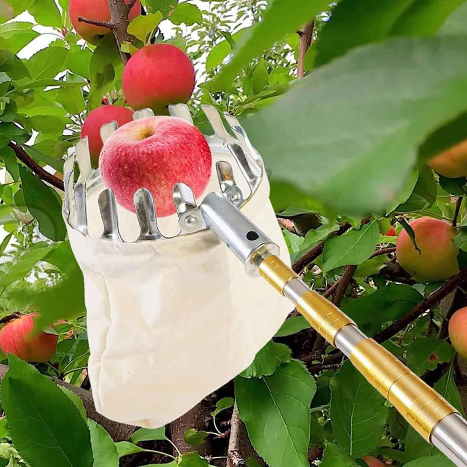 Strumento Raccoglitore di Frutta con Borsa in Tessuto, Telescopico Raccogli Frutta con Palo in Acciaio Inox, Raccogli Frutta da Albero, Raccogli Fichi
