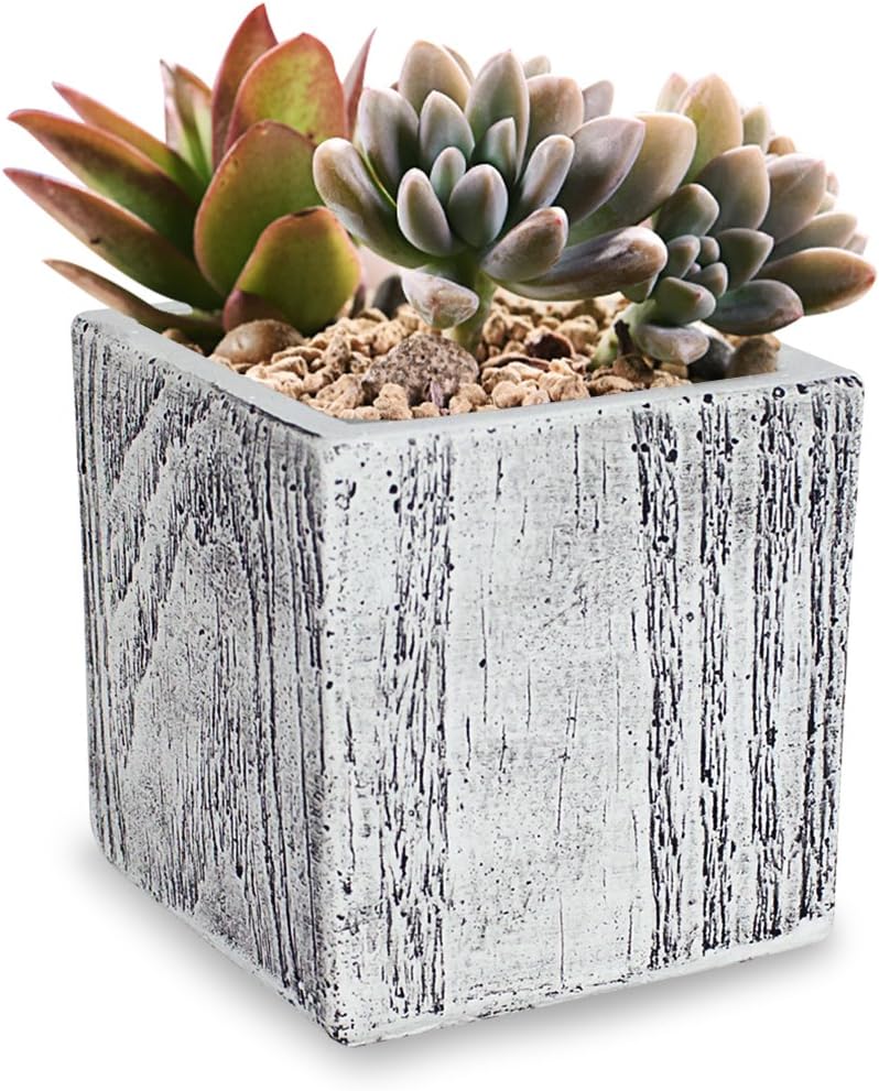 Dahlia Wood Grain Like Handmade Concrete Succulent Planter/Plant Pot/Flower Pot/Bonsai Pot, Cube