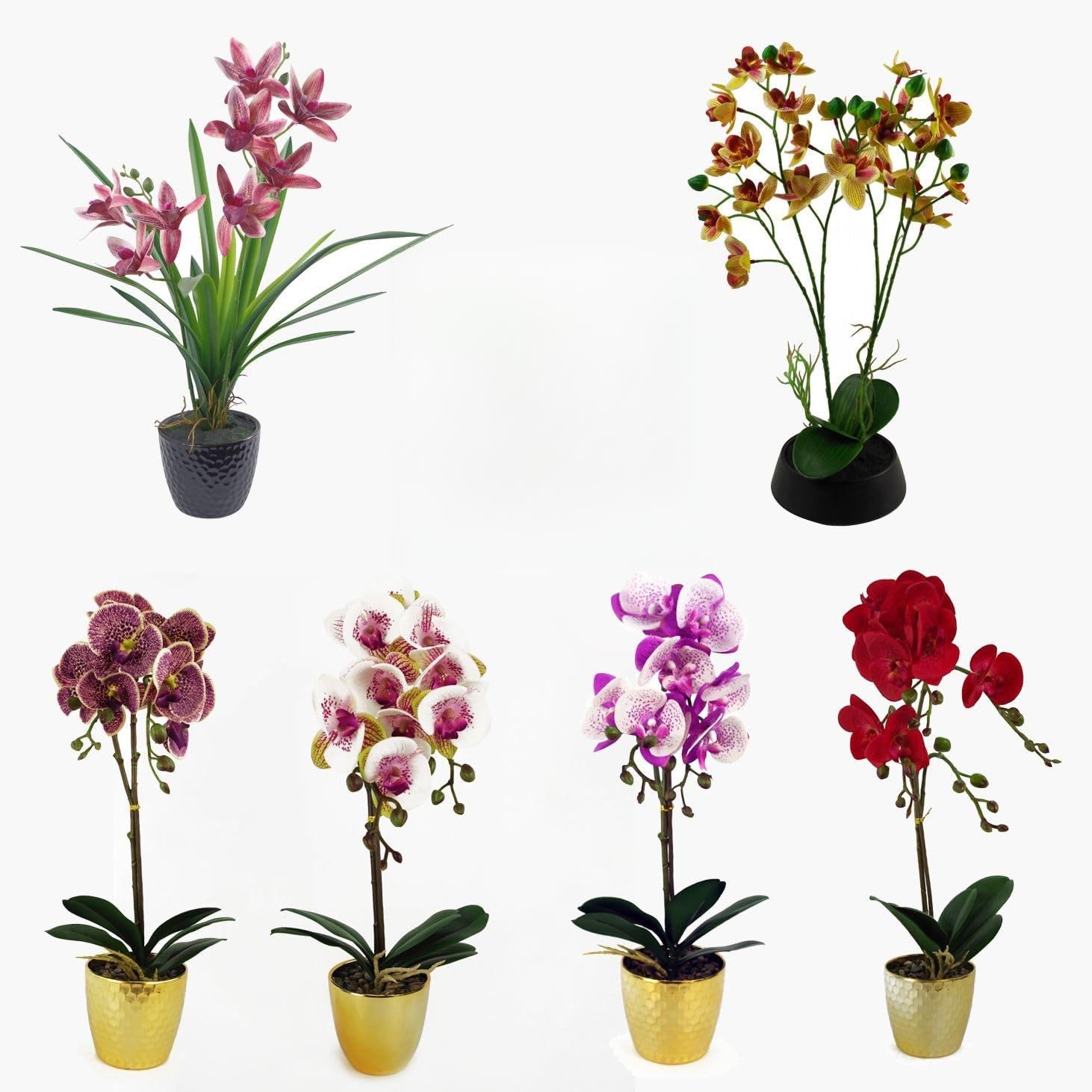 Leaf Pack of 6 Artificial Orchid Flowers in Pots