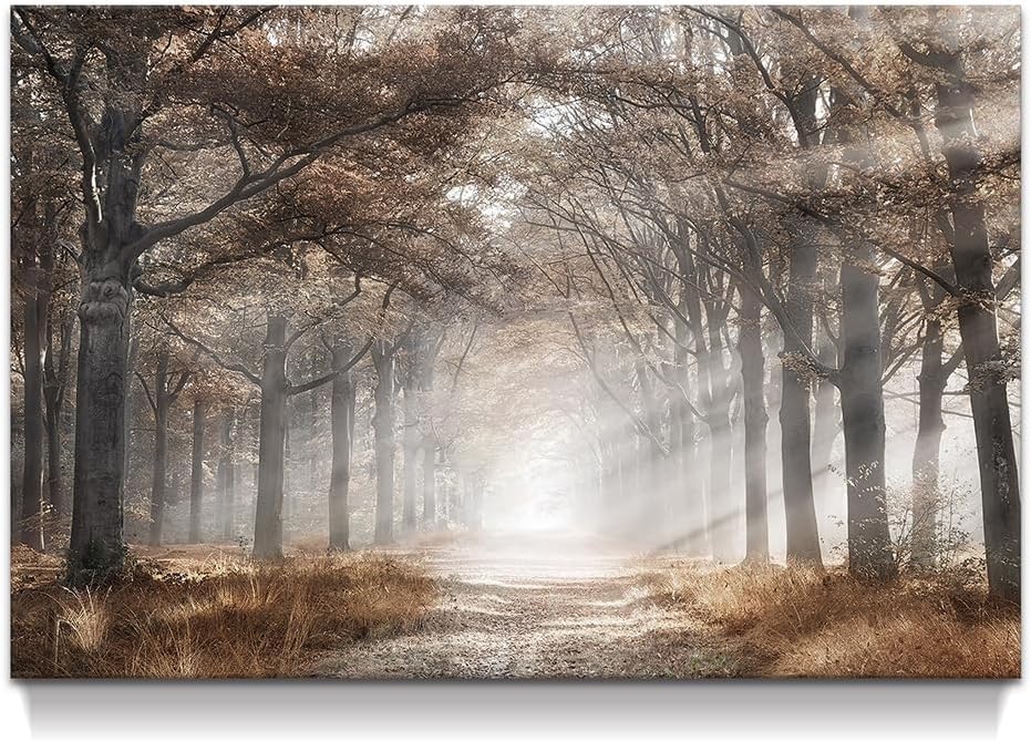 Fall Tree Canvas Wall Art: Sunshine Forest Picture Prints Large Nature Painting Orange Autumn Landscape Artwork for Living Room Bedroom Home Office Fall Forest 36"L x 24"W