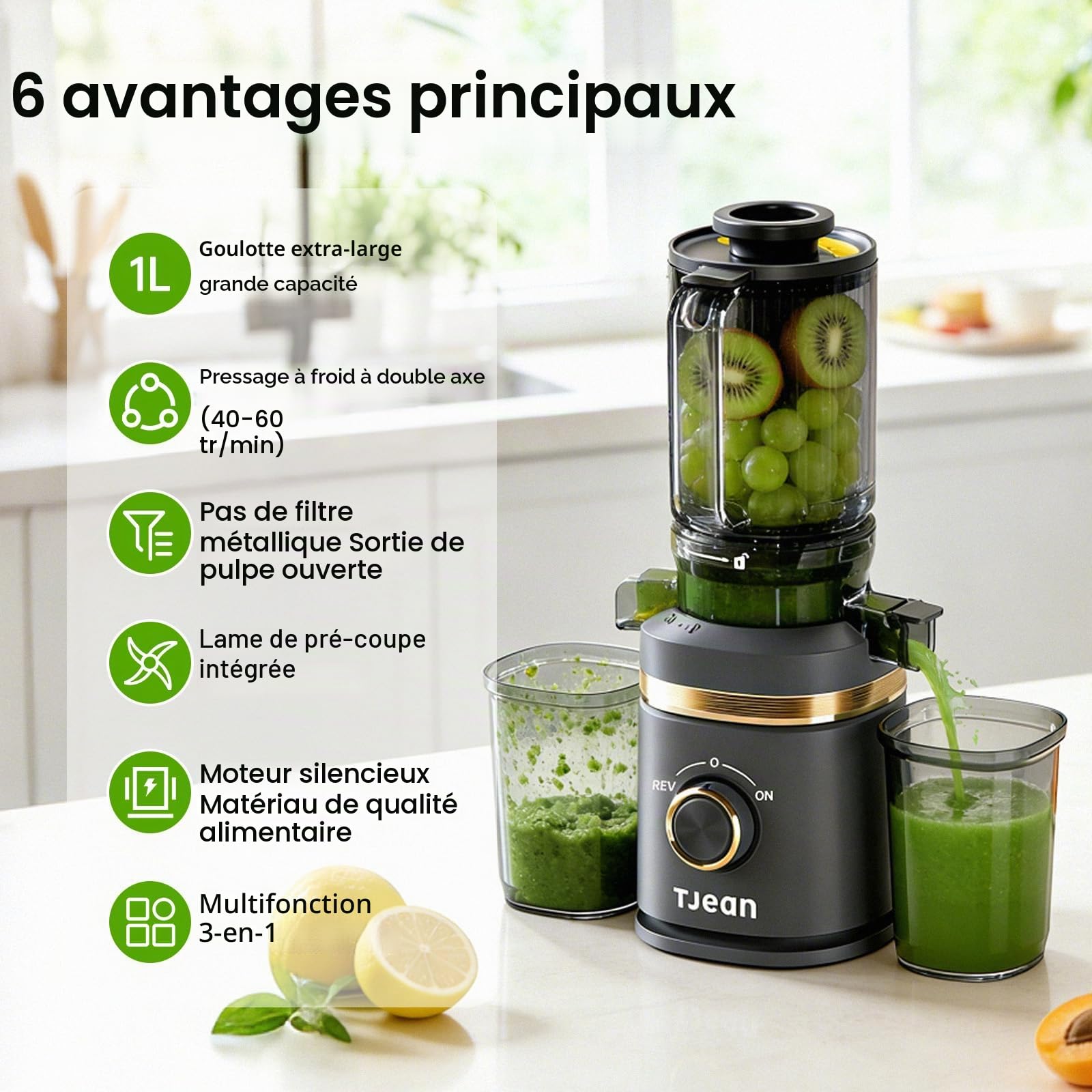 Extracteur de jus à froid lent TJean 110 mm pour fruits et légumes entiers, haut rendement, faible consommation d'énergie