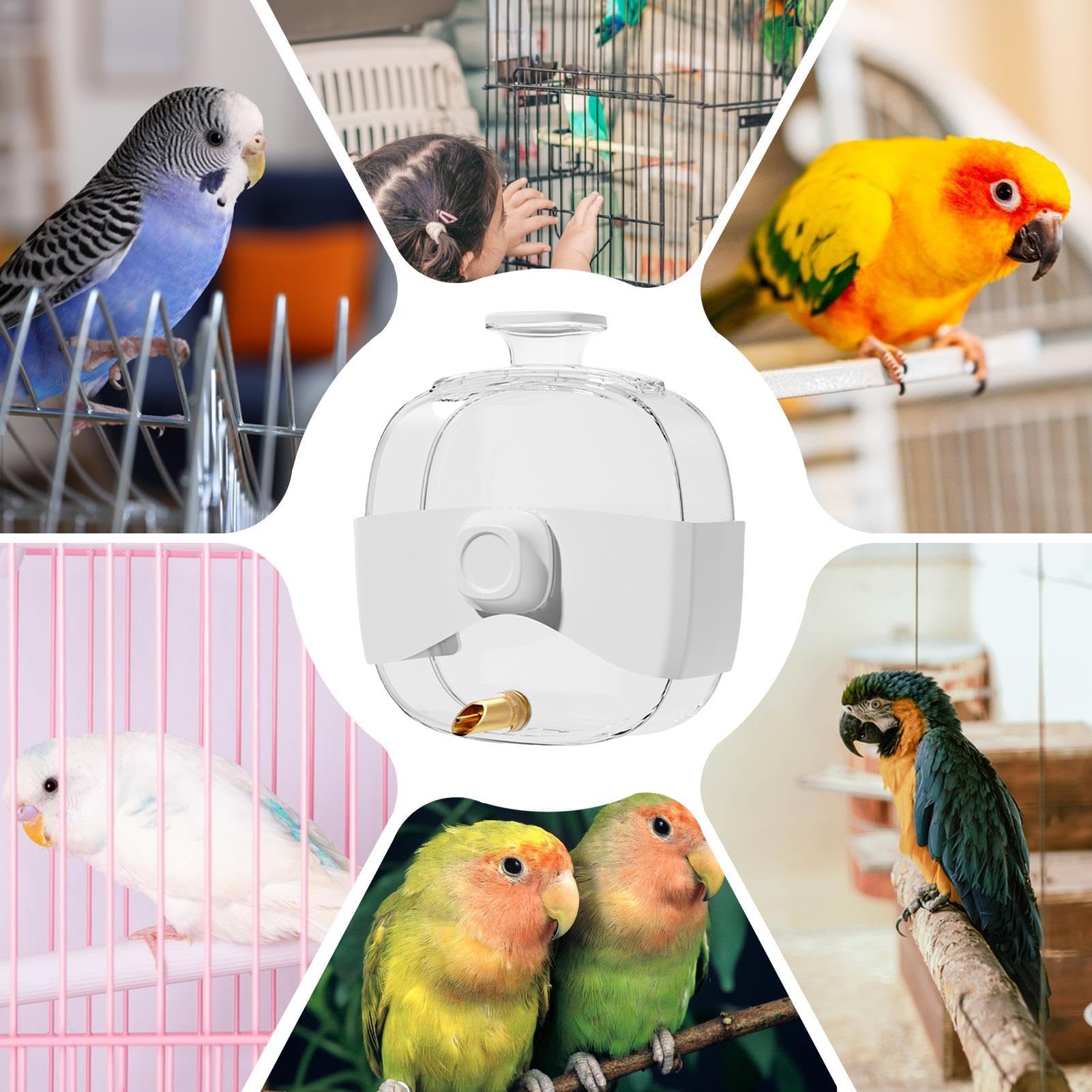 Vogelkäfig-Wasserspender, 4 Stück – Auslaufsicher, Automatisch, Für Papageien & Sittiche
