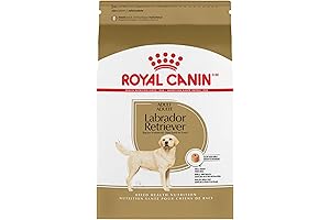 Labrador Retriever Dry Dog Food for Adult Canines, 30 lb Bag