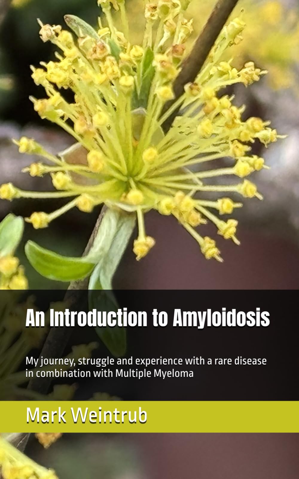 An Introduction to Amyloidosis: My journey, struggle and experience with a rare disease in combination with Multiple Myeloma