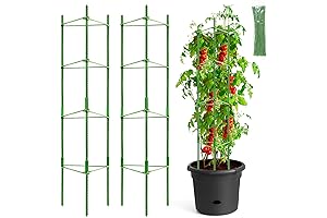 2-Pack Tomato Caging for Controlled Climbing