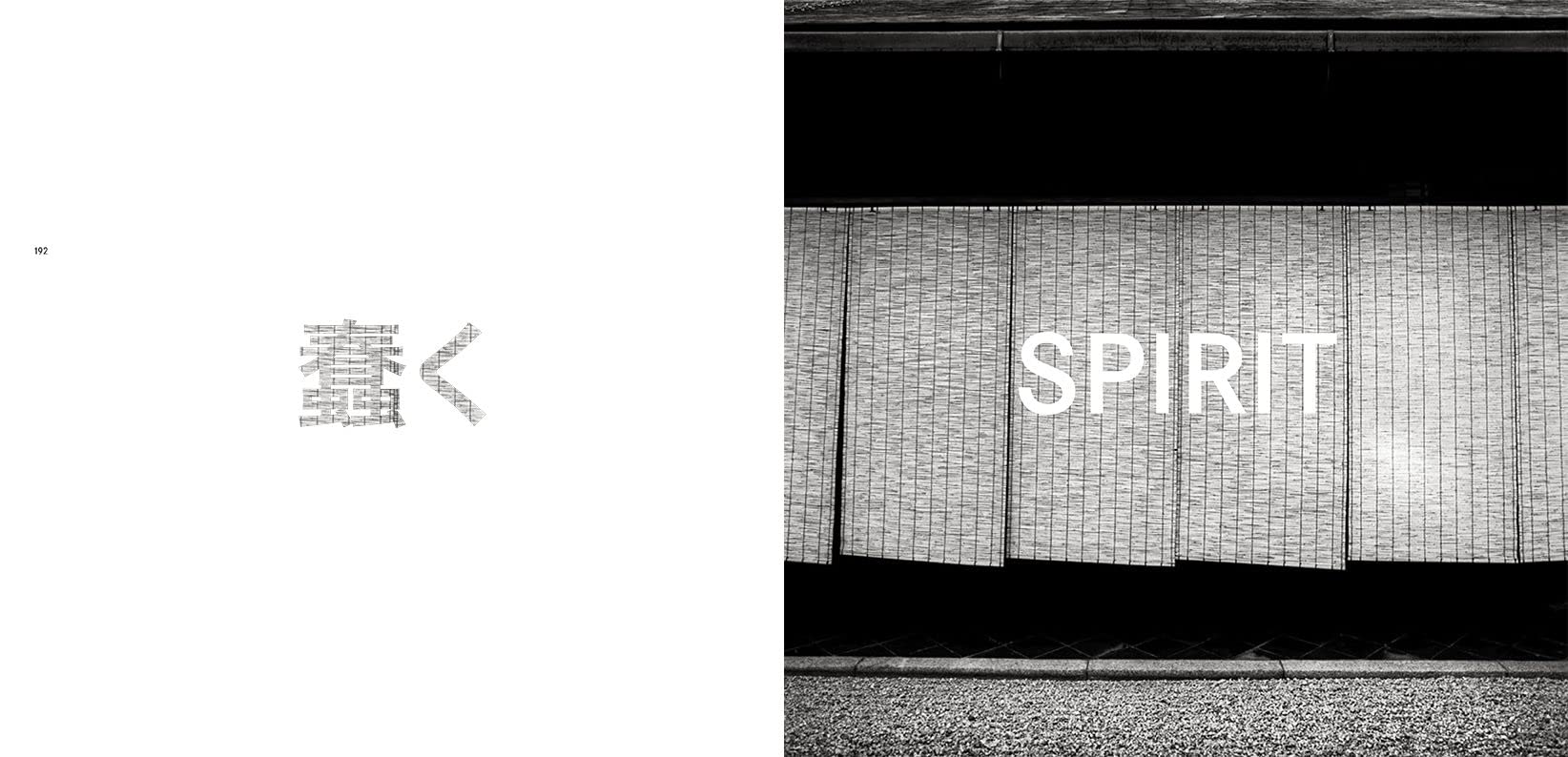 Forms of Japan: Michael Kenna (deutsche Ausgabe)
