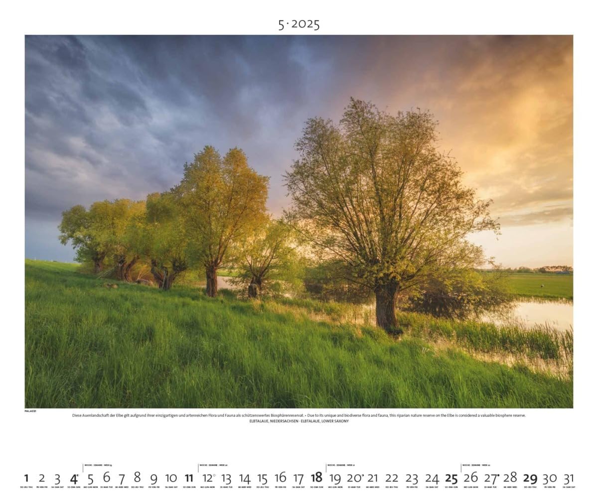 PALAZZI - Naturland Deutschland 2025 Wandkalender, 60x50cm, Posterkalender mit schönen Bildern aus Nationalsparks und Naturschutzgebieten, Felder, Wiesen und Wälder