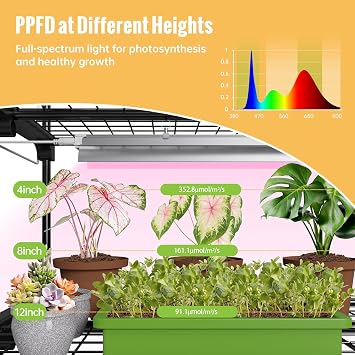 Indoor Greenhouse with Grow Light, 3-Tier Plant Shelf, 27x19x49in