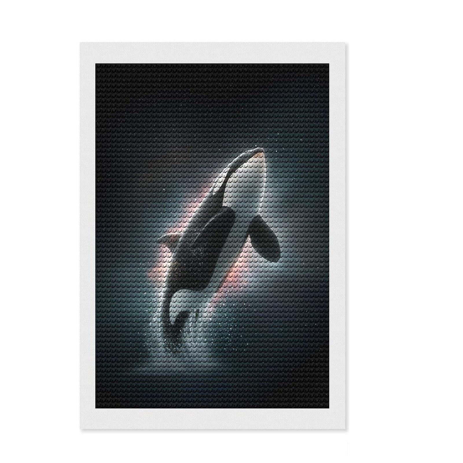 Junmoney Orca Whale Leaping in Space Round Drill Diamond Painting 8"x12", with Tool Kit, Decorate Your Room, Boho Decor, for Women, Neat Printed Canvas