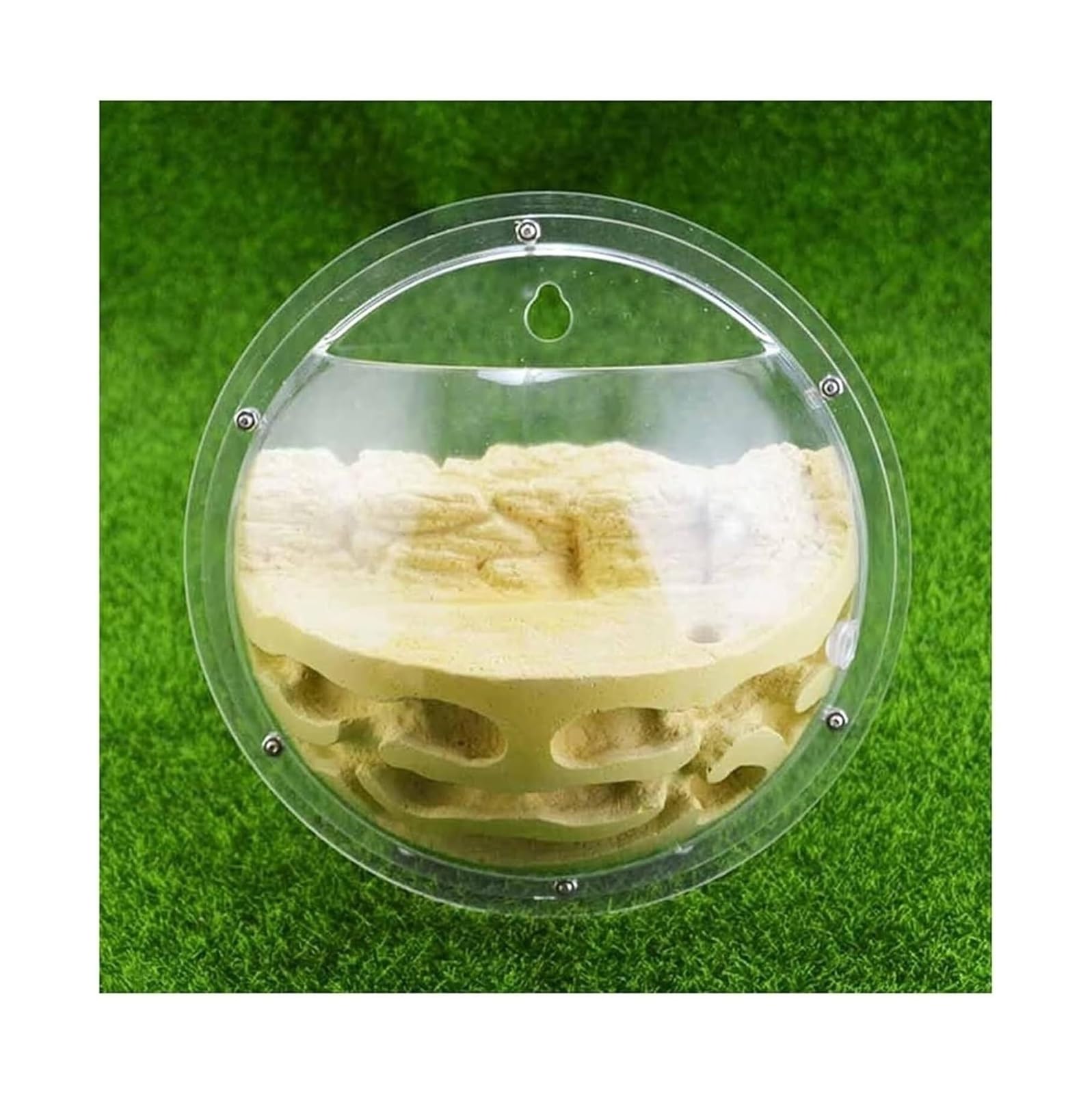 Acrylic Ant Nest