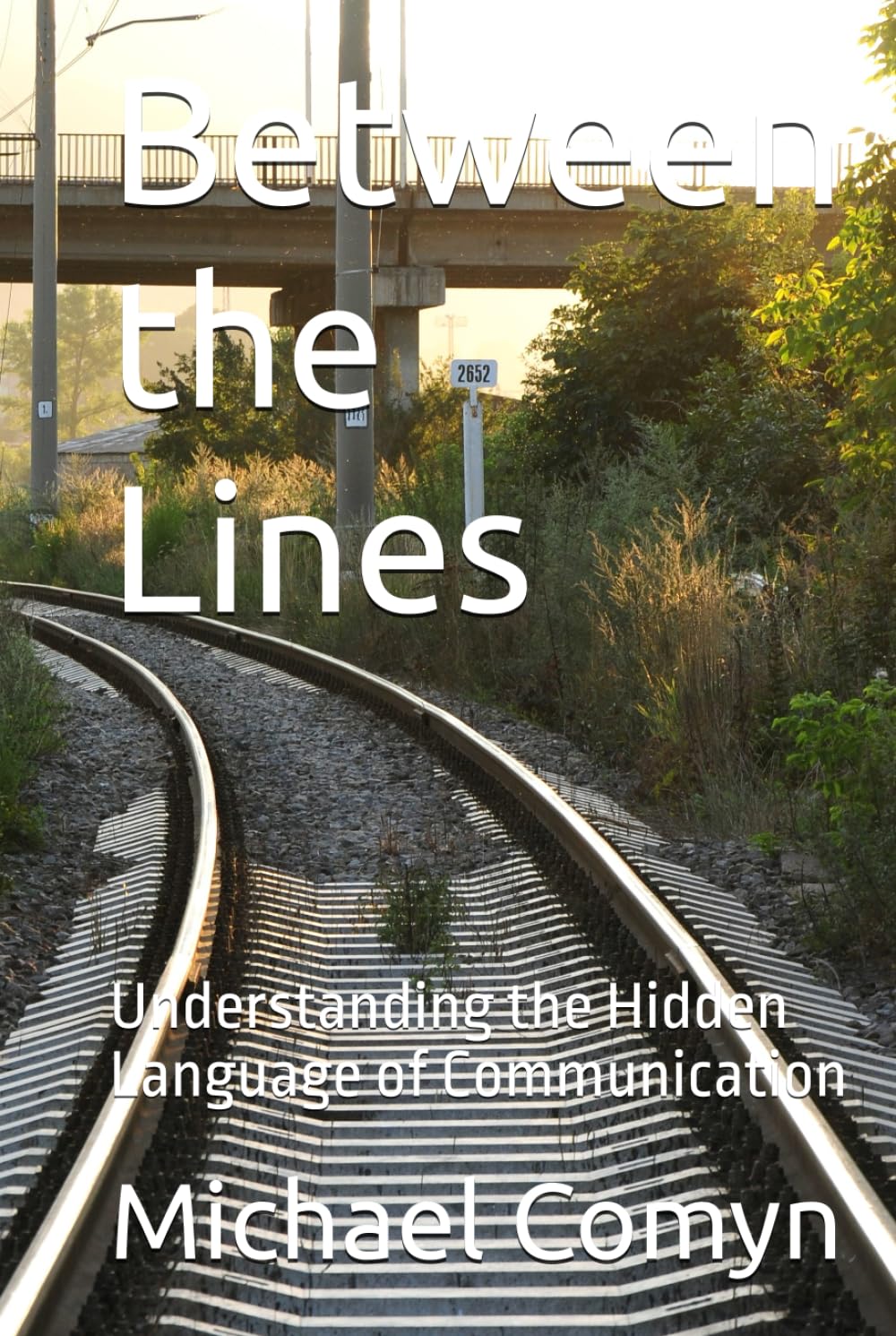 Between the Lines: Understanding the Hidden Language of Communication (Bridging Wisdom: Journeys for the Mind and Heart)