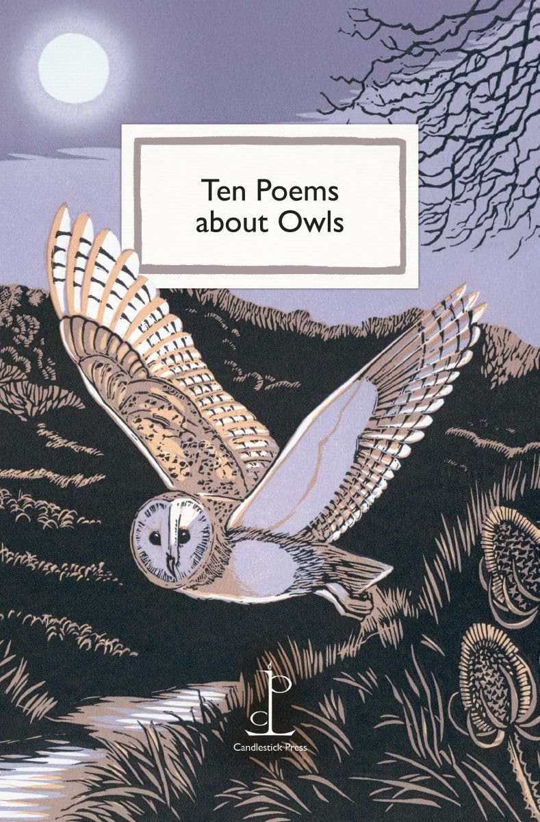 Ten Poems about Owls PAPERBACK 9781913627577