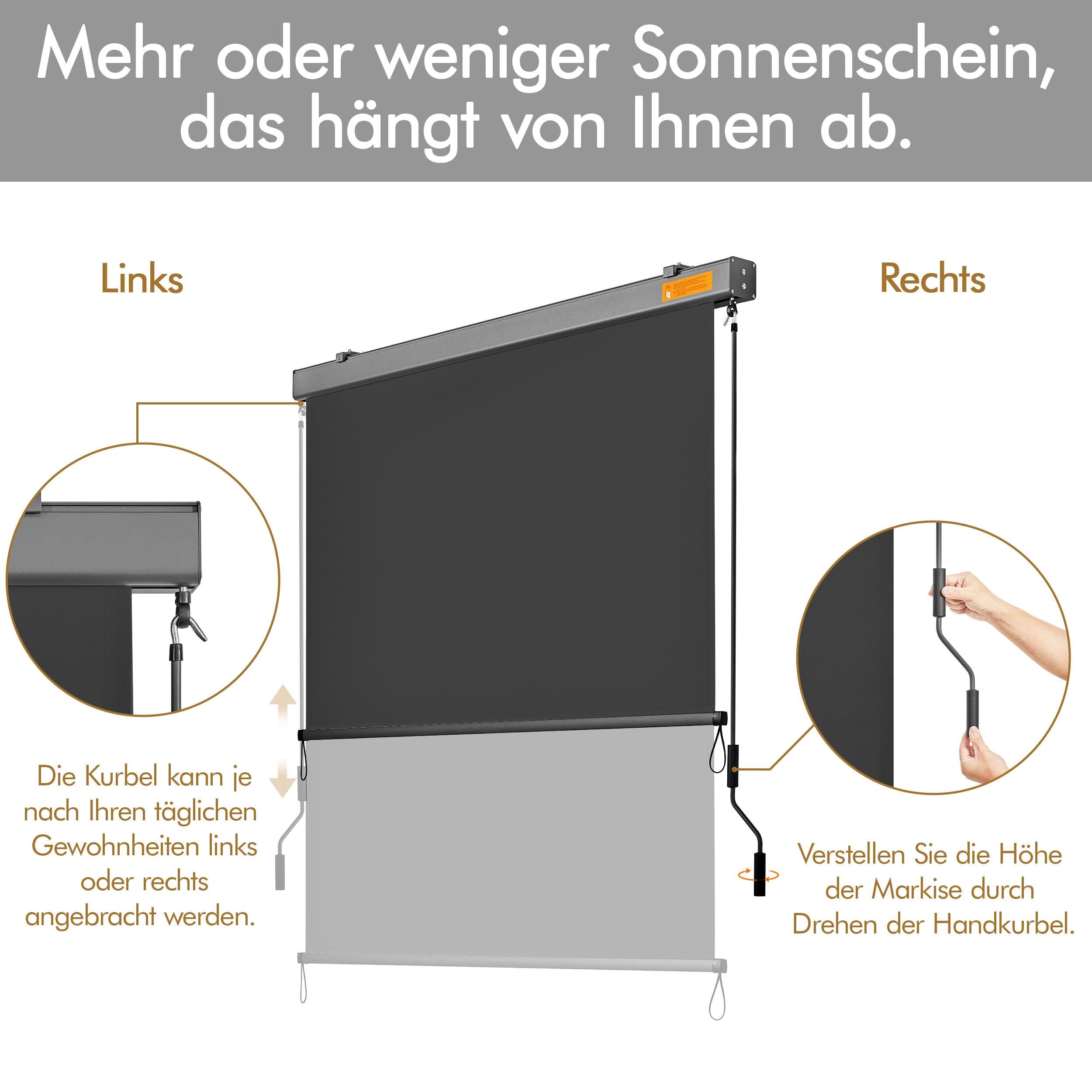 Yaheetech Senkrechtmarkise Außen 160 x 250 cm, Sichtschutz Dunkelgrau | Außenrollo Balkonrollo mit Kurbelbedienung, Sonnenschutz Vertikales Sonnensegel Rollo für Balkon und Terrasse
