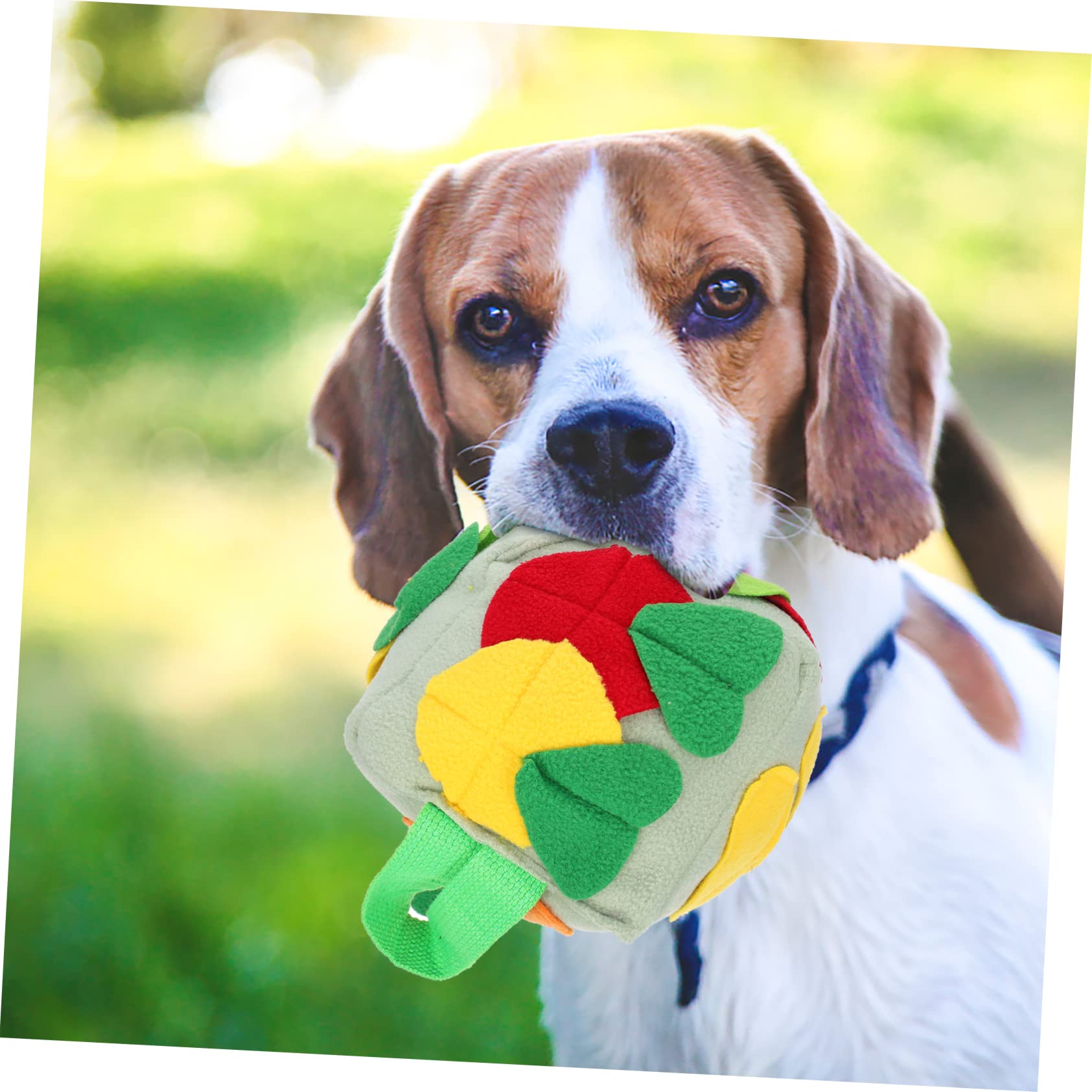 Sosoport 2stücke Hundeschnüffelball Aus Futterleckspielzeug Interaktives Spielzeug Für Geistige Anregung Für Kleine Und Mittelgroße Hunde Fördert Beschäftigung Und Zahnpflege