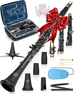 AKLOT B Flat Concert Clarinet: Precision Tone Hole Design for Stable Intonation, Durable Black Nickel Keys, Including Leather Hard Case, Barrel, Stand, Full Cleaning Kit (Aria-EN)